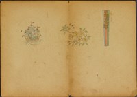 藏品(設計草圖－煙斗與印泥盒)的圖片