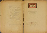 藏品(雙面繪設計草圖－器皿)的圖片