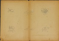 藏品(雙面繪設計草圖－蜻蜓)的圖片