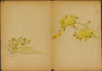 藏品(設計草圖－香菸盒)的圖片