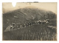 藏品(攝於台中東勢)的圖片