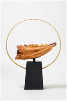 藏品(戀戀夏日)的圖片