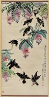 藏品(國畫作品---紫藤八哥)的圖片