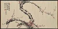 藏品(國畫作品--梅)的圖片