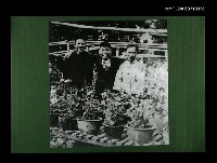 藏品(與友人合影(影本))的圖片