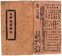 藏品(狐狸練劍新歌)的圖片