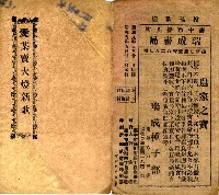 藏品(愛某賣大燈新歌)的圖片