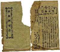 藏品(最新探哥歌)的圖片