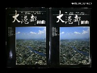 藏品(大港都組曲)的圖片