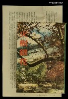 藏品(火樹銀花)的圖片