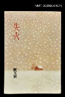 藏品(失火)的圖片