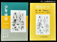 藏品(少年偵探第一集：少年偵探)的圖片