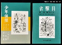 藏品(少年偵探第二集：目擊者)的圖片