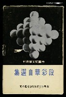 藏品(段彩華自選集)的圖片