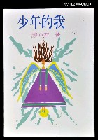 藏品(少年的我)的圖片