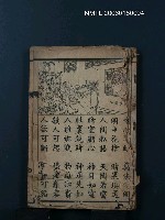 藏品(繪圖解人頤)的圖片