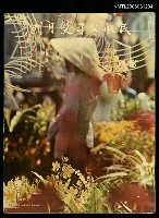 藏品(民航公司雙月刊)的圖片