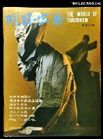 藏品(明日世界 第17期)的圖片