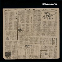 藏品(這一年夏天（上）)的圖片