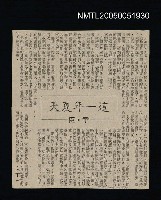 藏品(這一年夏天（下）)的圖片