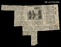 藏品(三月)的圖片