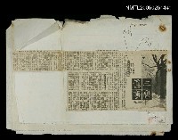 藏品(三春舊事)的圖片