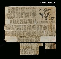 藏品(吃太陽的人)的圖片