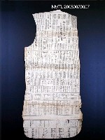 藏品(台灣新報)的圖片