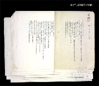 藏品(楊濤寫作年表（影本）)的圖片