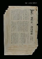 藏品(他們在一起的時候)的圖片