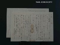 藏品(滿洲豚)的圖片