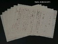 藏品(落葉集)的圖片