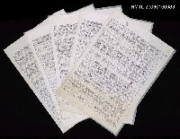 藏品(詩是自由的文藝（影本）)的圖片