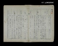 藏品(香妃)的圖片