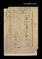 藏品(厚譴損)的圖片