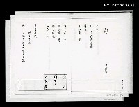 藏品(豹；髮（影本）)的圖片