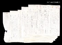 藏品(大蜥蝪之夜—墨西哥紀行之一（第一篇）)的圖片