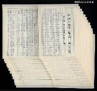 藏品(新詩的再革命（二）)的圖片