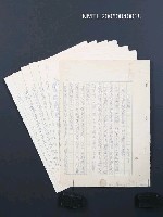 藏品(蕃仔雞)的圖片