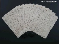 藏品(龍朱)的圖片