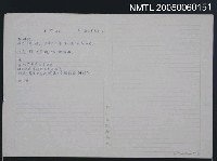 藏品(老笠樹)的圖片