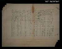 藏品(批杷的果實)的圖片