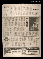 藏品(一生的愛)的圖片