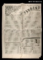 藏品(夢裏花落知多少（迷航完結篇）)的圖片