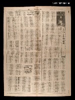 藏品(三毛—異鄉的賭徒)的圖片