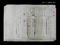 藏品(南海觀音籤譜（影本修訂稿）)的圖片