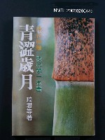 藏品(青澀歲月 我的第一本書)的圖片