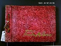 藏品(吳瀛濤家族相片簿)的圖片