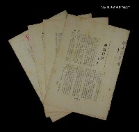 藏品(姜貴自傳（拆頁）)的圖片