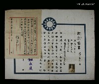 藏品(甄別證書（王意堅）)的圖片